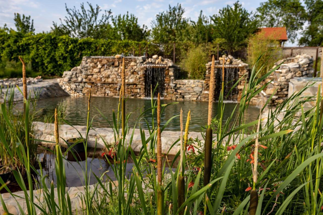 Country Spa Retreat Snagov Exterior foto The River at the Living Prairie