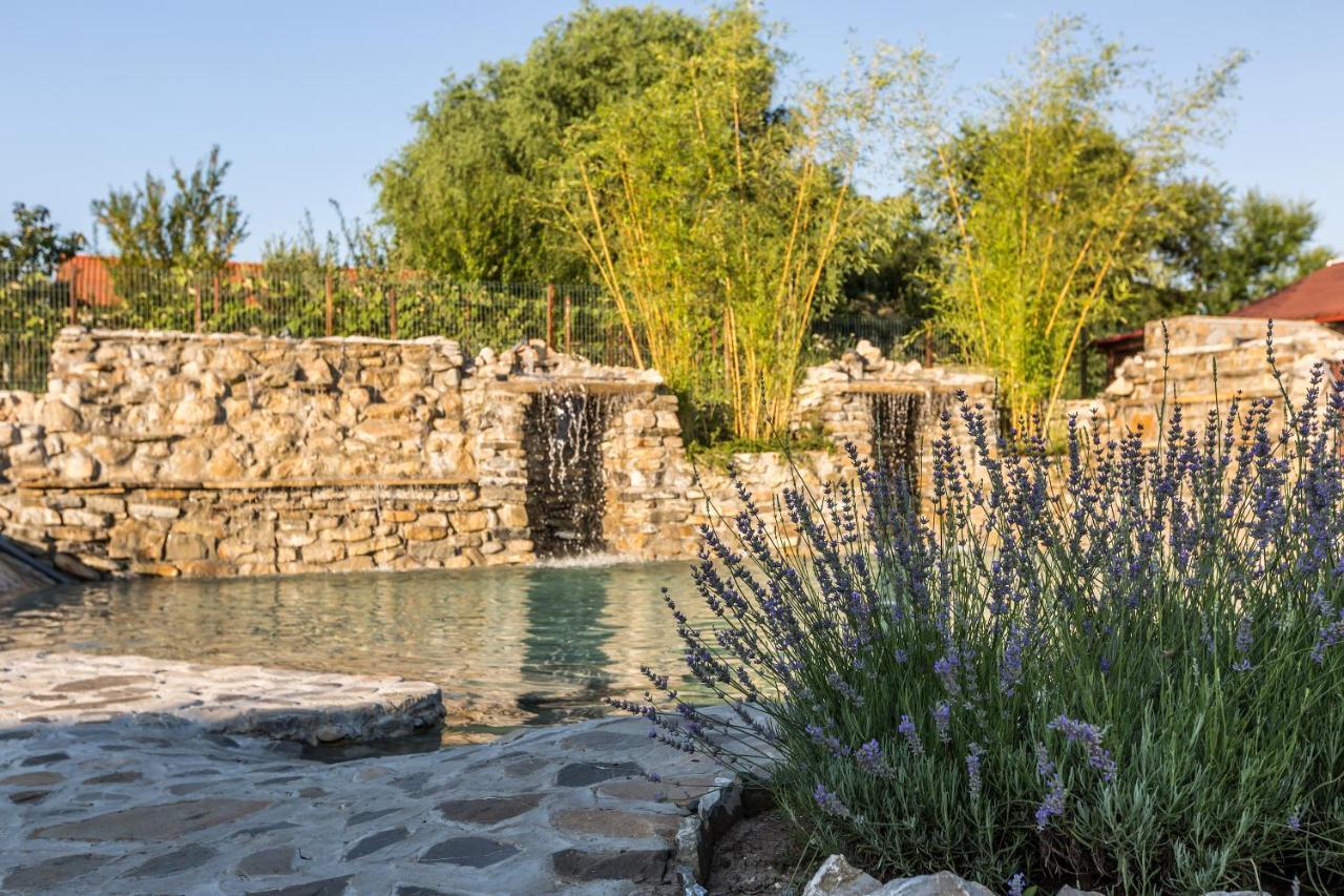 Country Spa Retreat Snagov Exterior foto The fountain at the entrance of the park
